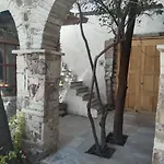 Casa Tanganitos